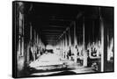 Canvas Black