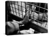 Prisoner Ronald Gallagher and Wife Holding Hands-Michael Rougier-Stretched Canvas