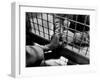 Prisoner Ronald Gallagher and Wife Holding Hands-Michael Rougier-Framed Photographic Print