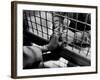 Prisoner Ronald Gallagher and Wife Holding Hands-Michael Rougier-Framed Photographic Print