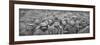 Prisoners in a Hole, Reims, First World War, April 1917-null-Framed Giclee Print