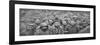 Prisoners in a Hole, Reims, First World War, April 1917-null-Framed Giclee Print