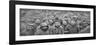 Prisoners in a Hole, Reims, First World War, April 1917-null-Framed Giclee Print