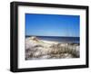 Pristine Dunes on Jekyll Island, Georgia-Giovanna Dell'orto-Framed Photographic Print