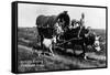 Pritchett, Colorado - Orville Ewing; Covered Wagon Scene-Lantern Press-Framed Stretched Canvas