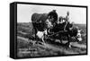 Pritchett, Colorado - Orville Ewing; Covered Wagon Scene-Lantern Press-Framed Stretched Canvas