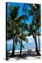 Private Beach - Florida-Philippe Hugonnard-Stretched Canvas