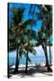 Private Beach - Florida-Philippe Hugonnard-Stretched Canvas