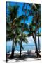 Private Beach - Florida-Philippe Hugonnard-Stretched Canvas