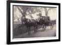 Gramercy Black