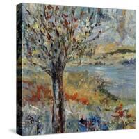 Private Creek-Jodi Maas-Stretched Canvas