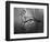 Private Eye-Thomas Barbey-Framed Premium Giclee Print