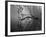 Private Eye-Thomas Barbey-Framed Giclee Print