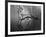 Private Eye-Thomas Barbey-Framed Giclee Print