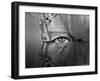 Private Eye-Thomas Barbey-Framed Giclee Print