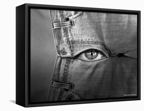 Private Eye-Thomas Barbey-Framed Stretched Canvas