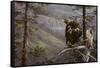 Private Eye-R.W. Hedge-Framed Stretched Canvas