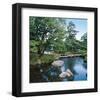 Private Pond-null-Framed Art Print