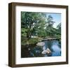 Private Pond-null-Framed Art Print