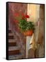 Private Staircase with Flowerpot, Malcesine, Italy-Lisa S. Engelbrecht-Framed Stretched Canvas