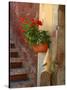 Private Staircase with Flowerpot, Malcesine, Italy-Lisa S. Engelbrecht-Stretched Canvas