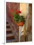 Private Staircase with Flowerpot, Malcesine, Italy-Lisa S. Engelbrecht-Framed Photographic Print