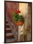Private Staircase with Flowerpot, Malcesine, Italy-Lisa S. Engelbrecht-Framed Photographic Print