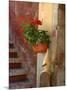 Private Staircase with Flowerpot, Malcesine, Italy-Lisa S. Engelbrecht-Mounted Photographic Print