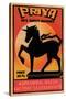 Priya 50's Safety Matches-null-Stretched Canvas
