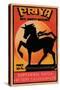 Priya 50's Safety Matches-null-Stretched Canvas