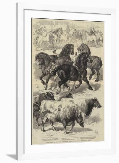 Prize Animals at the Royal Agricultural Society's International Exhibition at Kilburn-Samuel John Carter-Framed Giclee Print