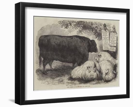 Prize Animals at the Smithfield Club Cattle Show-Samuel John Carter-Framed Giclee Print