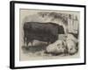 Prize Animals at the Smithfield Club Cattle Show-Samuel John Carter-Framed Giclee Print