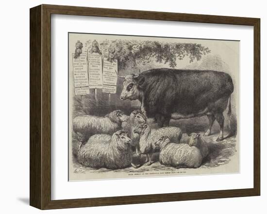 Prize Animals at the Smithfield Club Cattle Show-Samuel John Carter-Framed Giclee Print