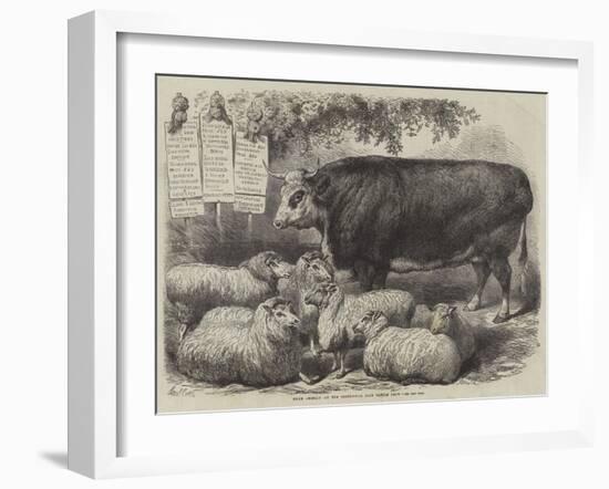 Prize Animals at the Smithfield Club Cattle Show-Samuel John Carter-Framed Giclee Print