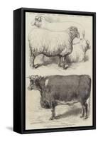 Prize Animals at the Smithfield Club Cattle Show-Harrison William Weir-Framed Stretched Canvas