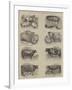 Prize Animals at the Smithfield Club Cattle Show-null-Framed Giclee Print