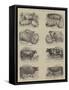 Prize Animals at the Smithfield Club Cattle Show-null-Framed Stretched Canvas