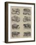 Prize Animals at the Smithfield Club Cattle Show-null-Framed Giclee Print