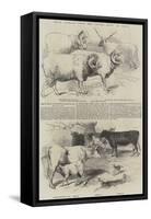 Prize Animals from the Cattle Show, at Paris-null-Framed Stretched Canvas