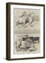 Prize Animals from the Cattle Show, at Paris-null-Framed Giclee Print