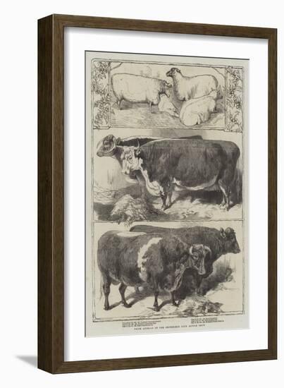 Prize Animals of the Smithfield Club Cattle Show-Harrison William Weir-Framed Giclee Print