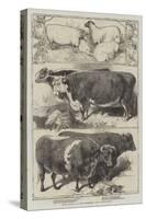 Prize Animals of the Smithfield Club Cattle Show-Harrison William Weir-Stretched Canvas