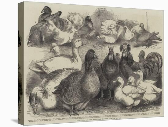 Prize Birds at the Birmingham Poultry Show-Harrison William Weir-Stretched Canvas