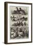 Prize Birds at the Birmingham Poultry Show-Harrison William Weir-Framed Giclee Print