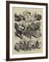 Prize Birds, Crystal Palace Poultry Show-Harrison William Weir-Framed Giclee Print