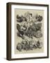 Prize Birds, Crystal Palace Poultry Show-Harrison William Weir-Framed Giclee Print