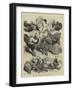 Prize Birds, Crystal Palace Poultry Show-Harrison William Weir-Framed Giclee Print