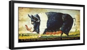 Prize Black Sow-Sean Aherne-Framed Giclee Print