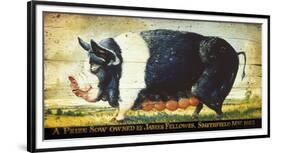 Prize Black Sow-Sean Aherne-Framed Giclee Print